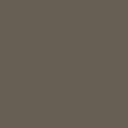 Color #685f54 