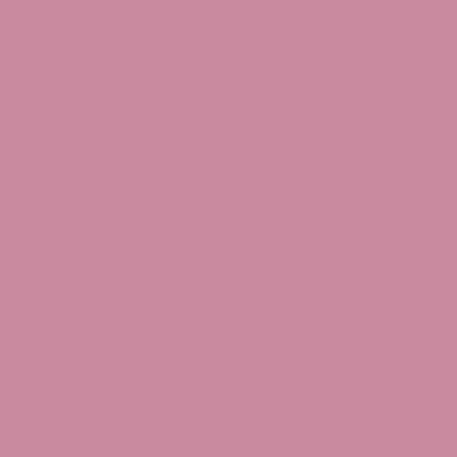Color #c9899e 
