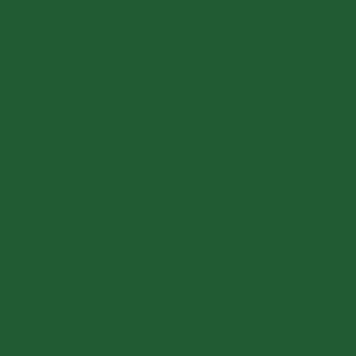 Color #215b33 