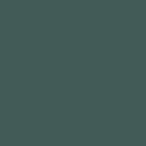 Color #425b57 