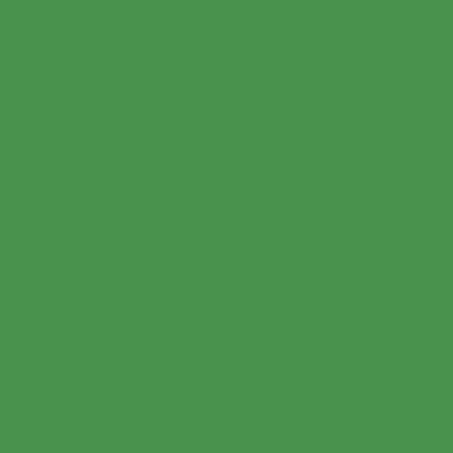 Color #47934b 